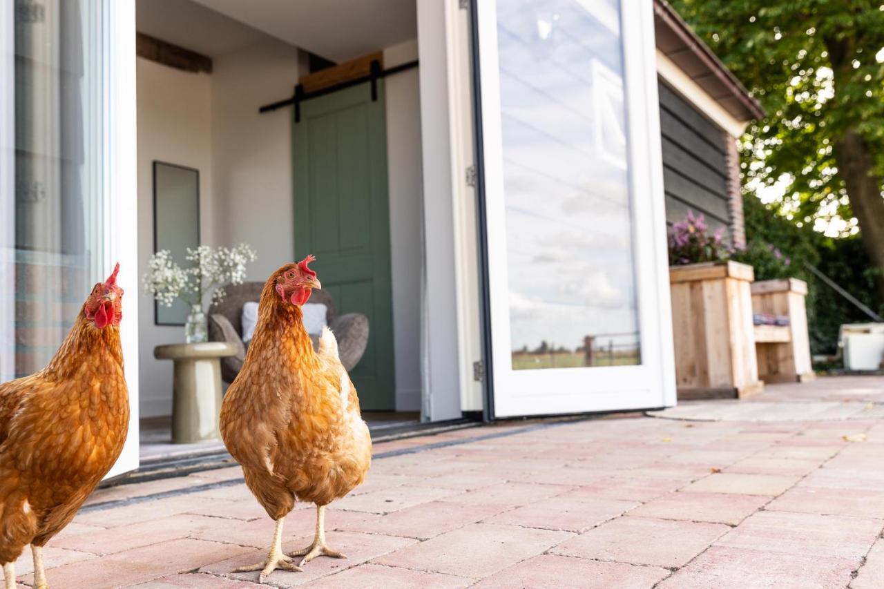 De Zuiderstolp Bed & Breakfast Zuidermeer Eksteriør bilde